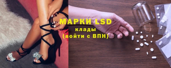 прущие грибы Костерёво