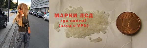 прущие грибы Костерёво