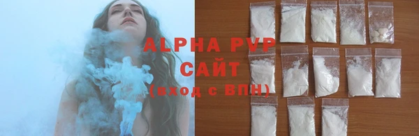 прущие грибы Костерёво