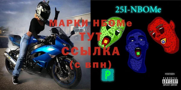 прущие грибы Костерёво