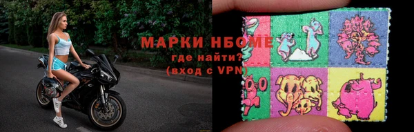 прущие грибы Костерёво